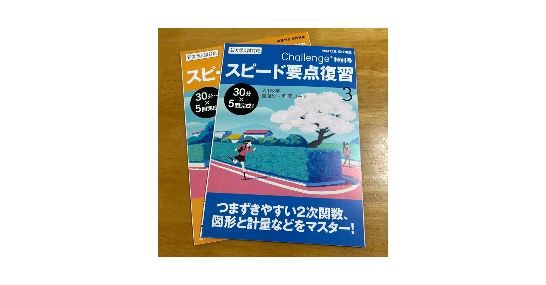 進研ゼミ 高１ 国語 マンスリーアプローチ  1988年4月～11月8冊 進研ゼミ 高1 国語 マンスリーアプローチ 1988年4月～11月8冊